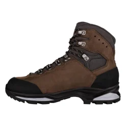 Lowa Casual Shoes|Sandals And Mules<Camino Evo GTX Boots Brown/Graphite