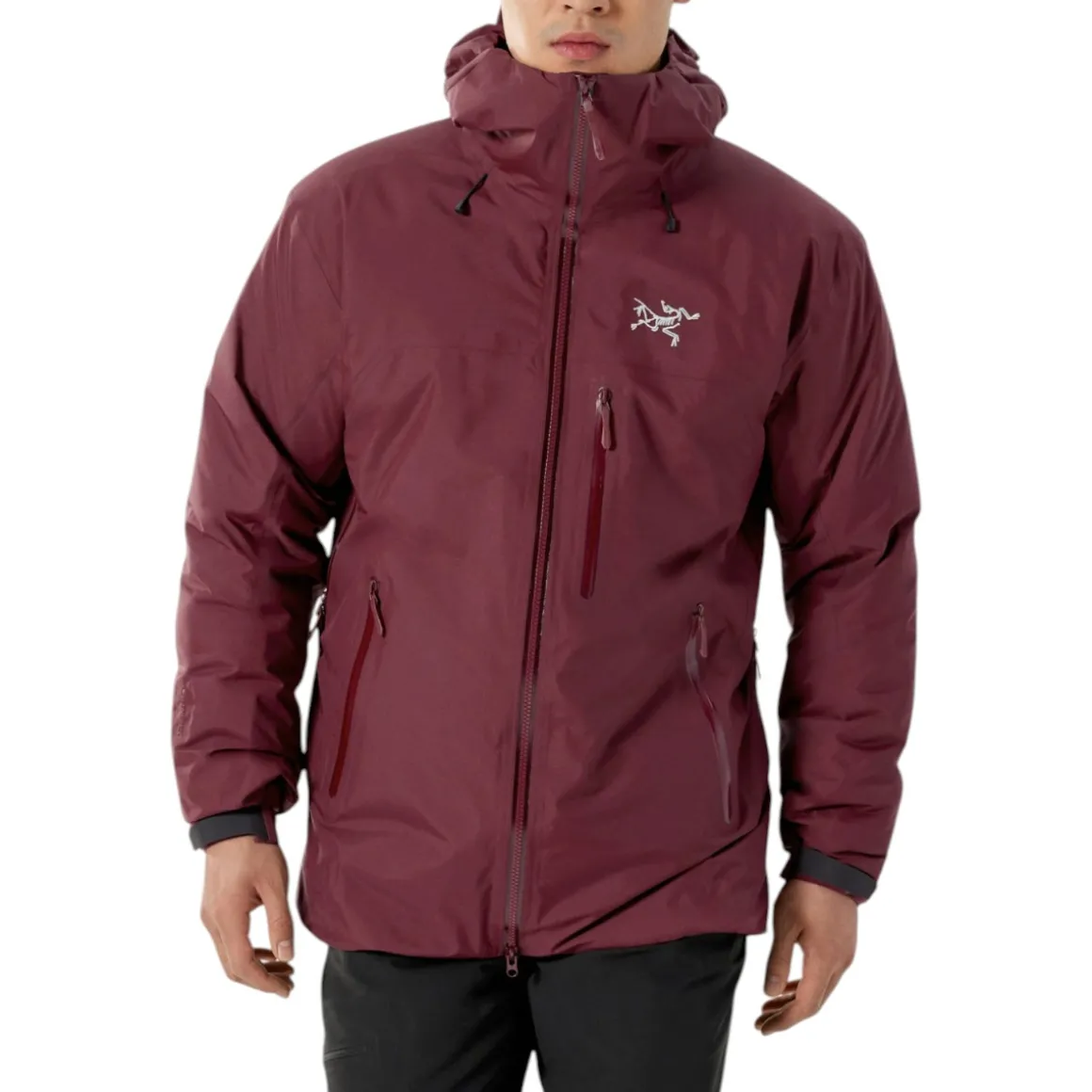 Men's Beta Insulated Jacket