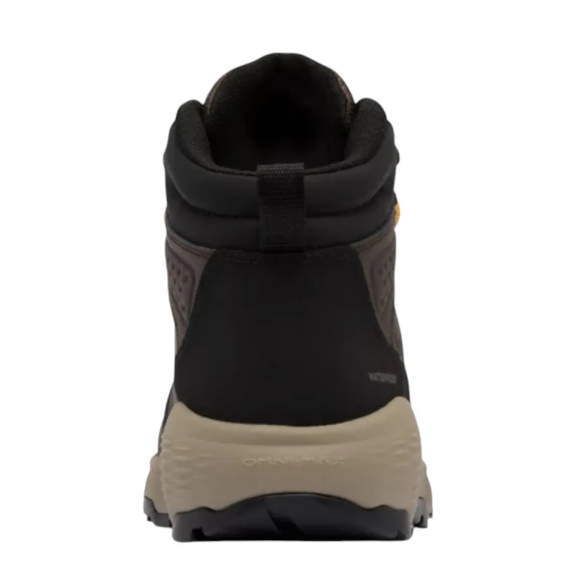 Men's Newton Wander™ LTR Boots