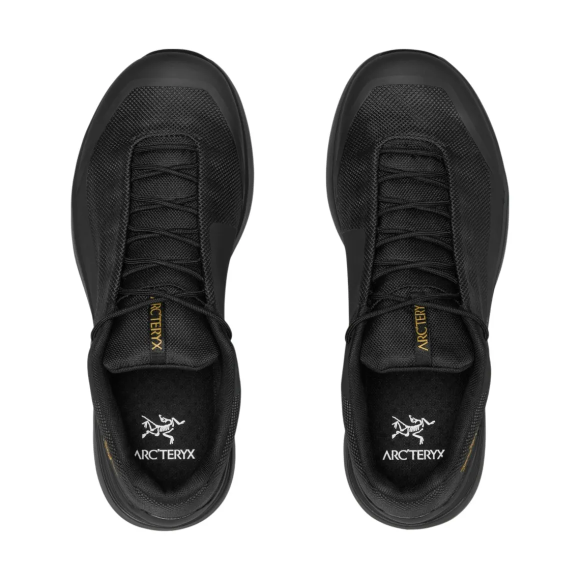 Men's Norvan LD 4 GTX Shoes