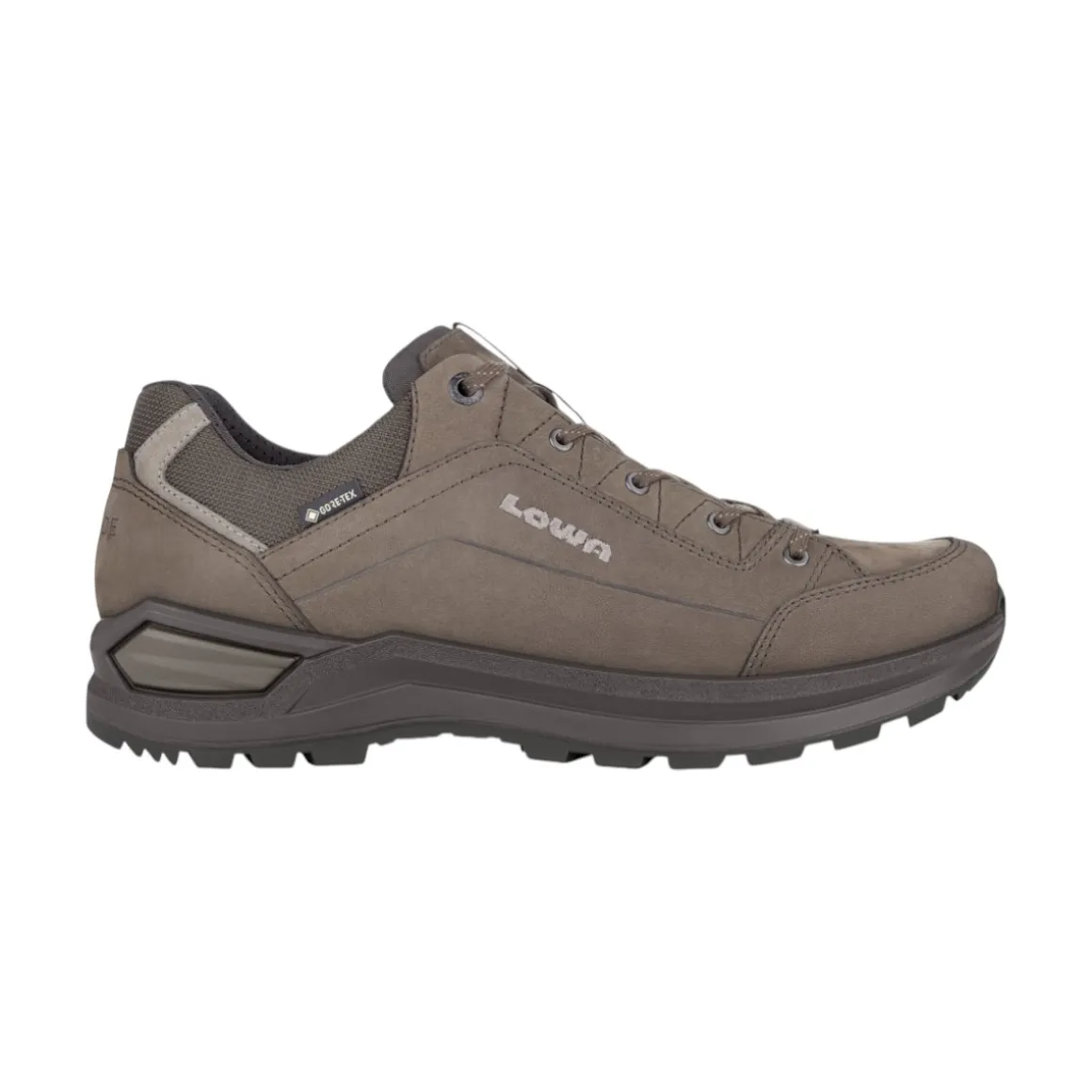 Men's Renegade Evo GTX Lo Shoes
