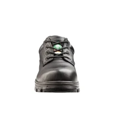 Terra Safety Shoes|Work Outerwear<Men's Albany Safety Shoes Black