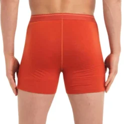 Icebreaker Boxers And Panties|Socks<Men's Anatomica Boxer