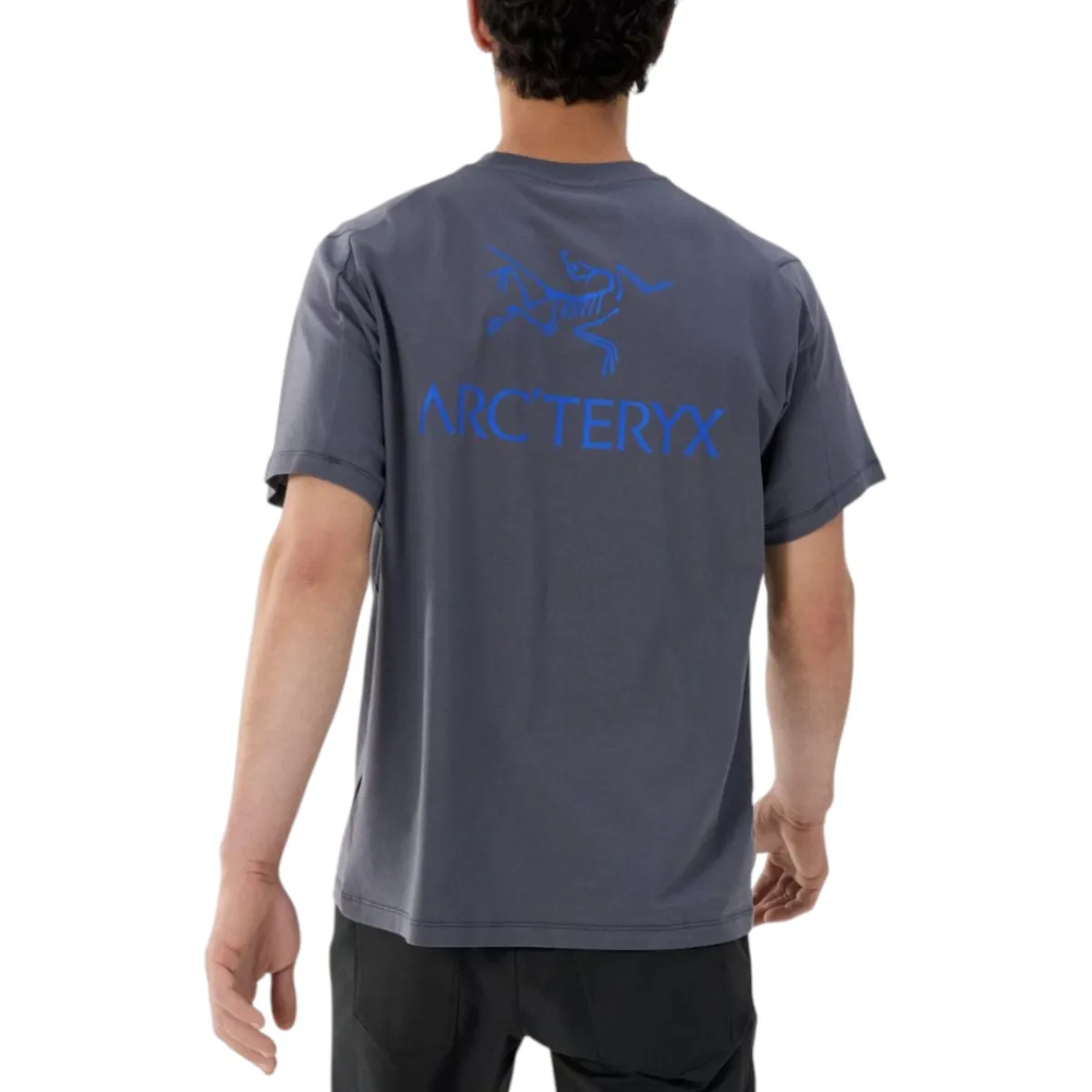 Arc'teryx Shirts|Swimwear<Men's Kragg SL Bird Word T-Shirt