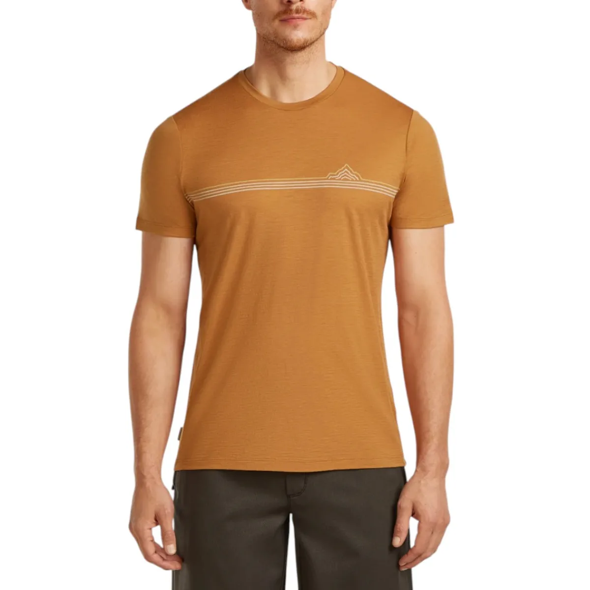 Icebreaker Shirts|Swimwear<Men's Merino 150 Tech Lite Short Sleeve Tee Range Stripes Trail