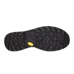 Lowa Casual Shoes|Sandals And Mules<Men's Renegade Evo GTX Mid Boots Espresso / Seaweed