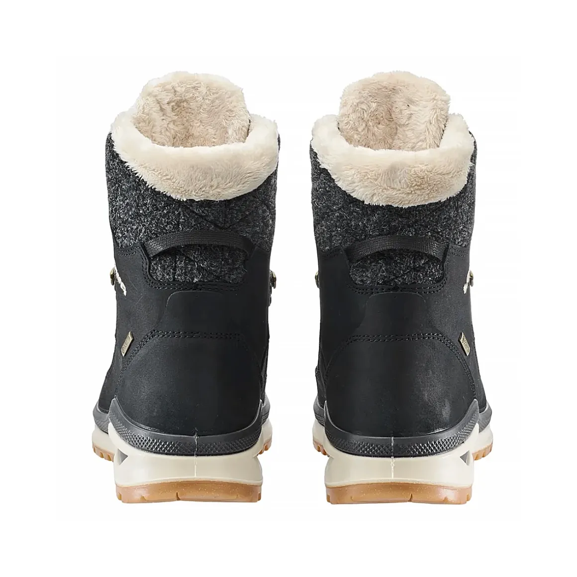 Women's Renegade Evo Ice 2 GTX