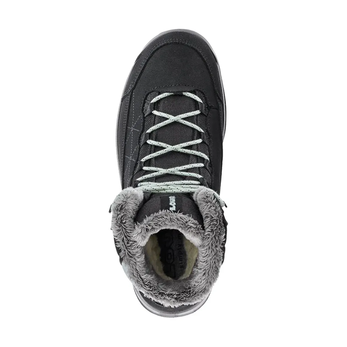 Women's Renegade Evo Ice 2 GTX
